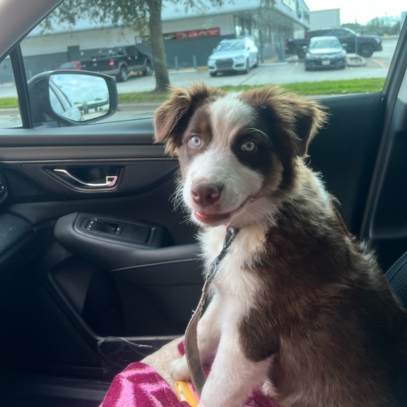 Meet your Posher, Kathleen - Picture 6 of 7